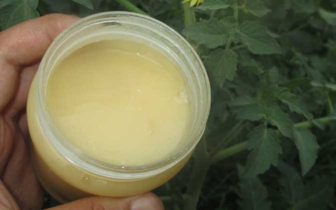用蜂蜜怎樣去眼部皺紋？